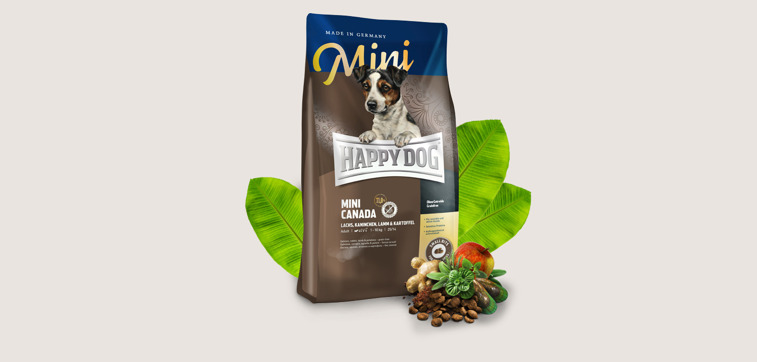 happy dog trockenfutter hund mini canada header